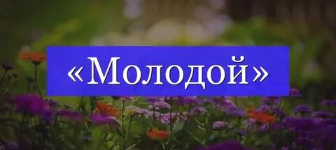 Полотенце разбор по составу