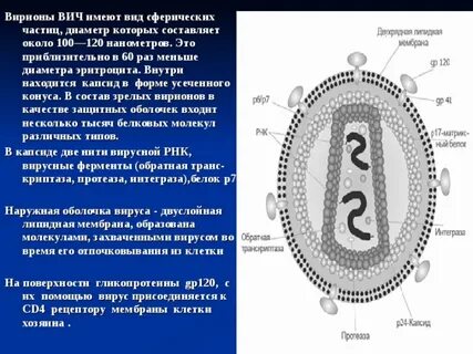 Вич имеет