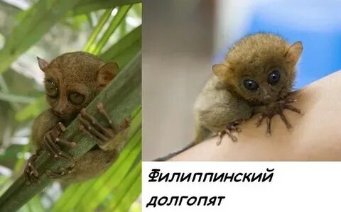 Небольшой точно небольшой