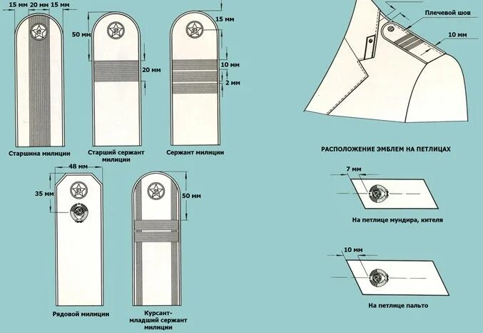 Петлицы на погонах расстояние. Погоны младшего сержанта полиции расстояние. Как правильно крепить лычки на погоны младшего сержанта. Как крепить погоны младшего сержанта полиции. Погоны сержанта МВД Размеры.
