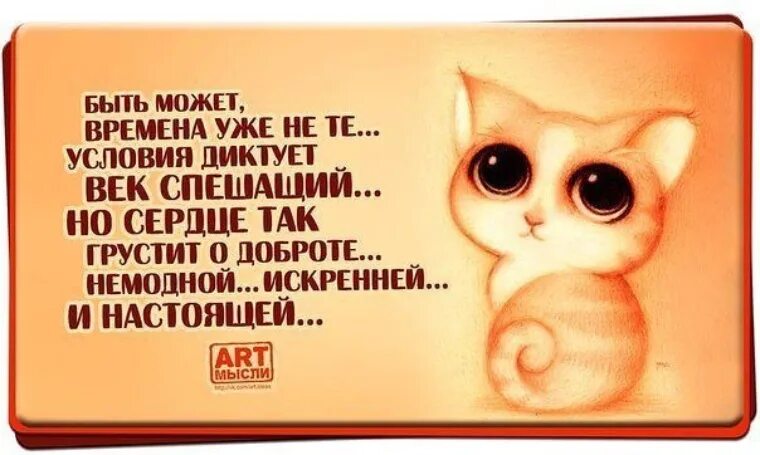 классные цитаты. умные и смешные цитаты. красивые цитаты смешные. афоризмы с юмором. веселые и мудрые высказывания.