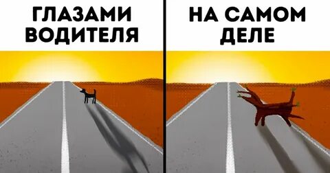 Глазами логиста
