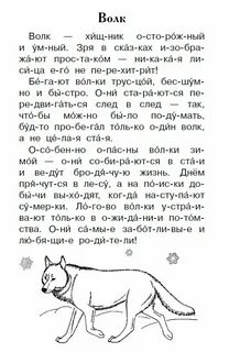 Познавательный текст