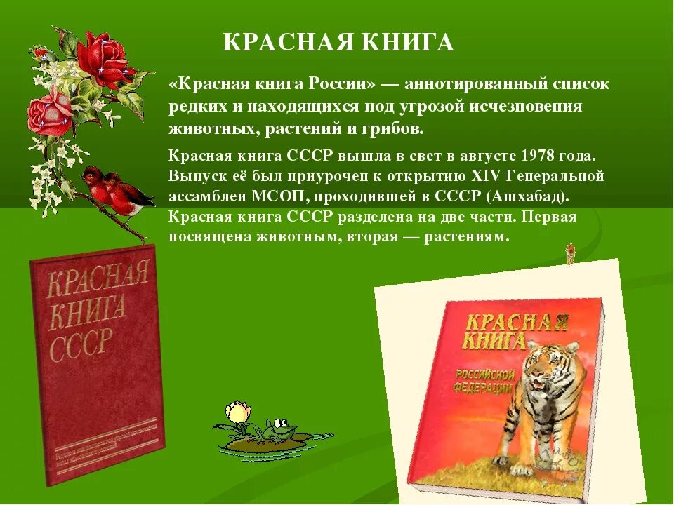 Красная книга какая она. Проект красная книга. Красная книга презентация. Проект красная книга России. Красная книга 2 класс.