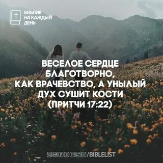 Притчи 17 17