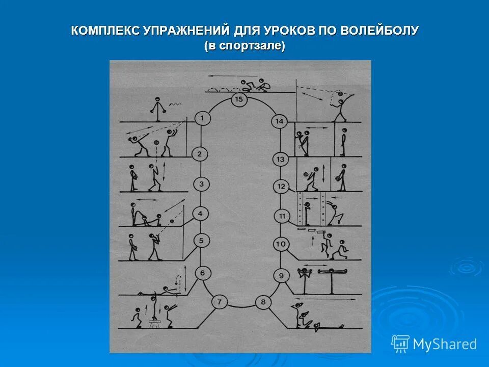 Кольцевой комплекс. Круговая тренировка волейболистов упражнения. Круговая тренировка волейбол. Метод круговой тренировки в волейболе. Метод круговой тренировки на уроке волейбола.