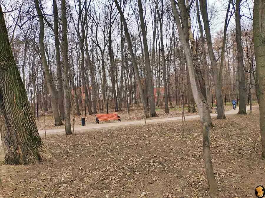 Парки сзао