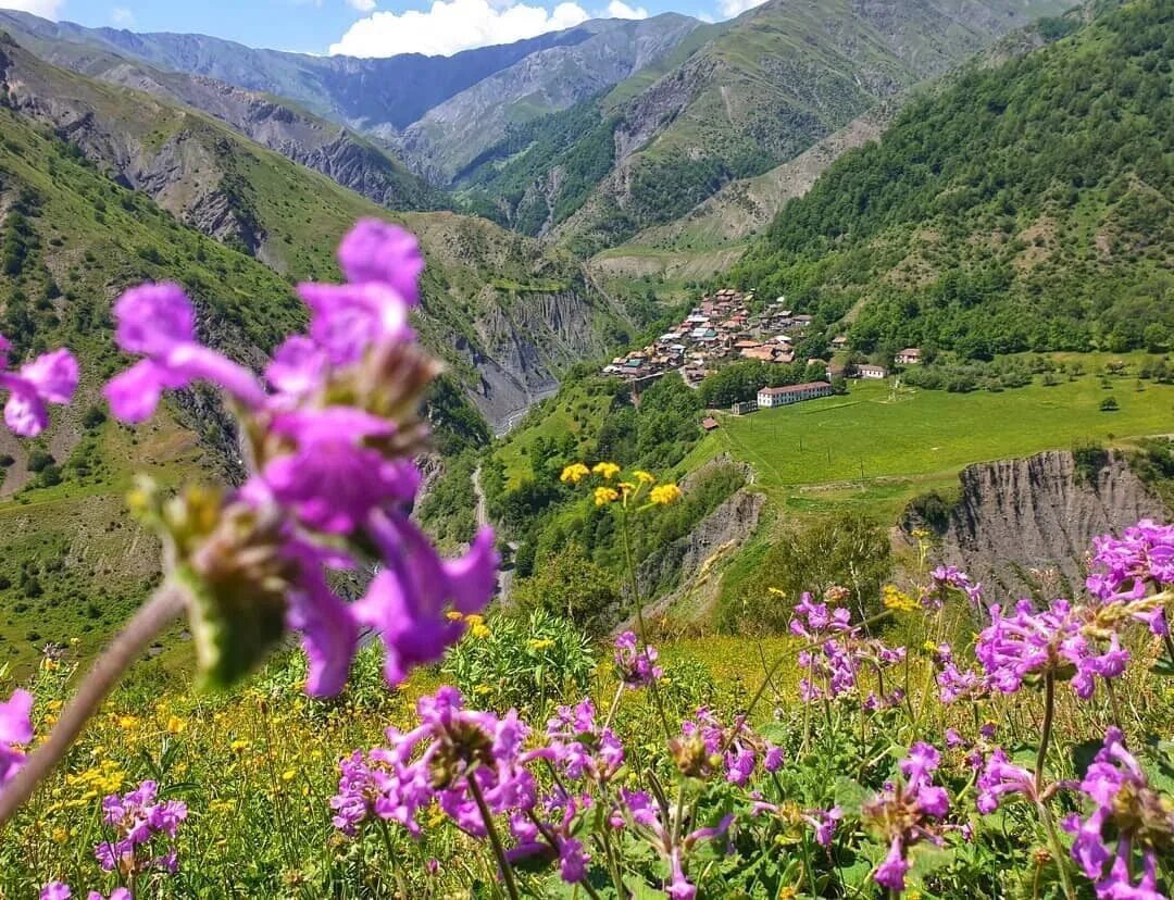 Сарыбаш Азербайджан. Село Сарыбаш Азербайджан. Гах Азербайджан. Село Сарыбаш , Гах , Азербайджан.. Родной азербайджан