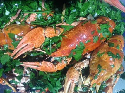 Вкусные раки омск