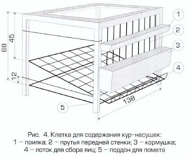 Как определить размеры клетки. Как определить размеры клетки