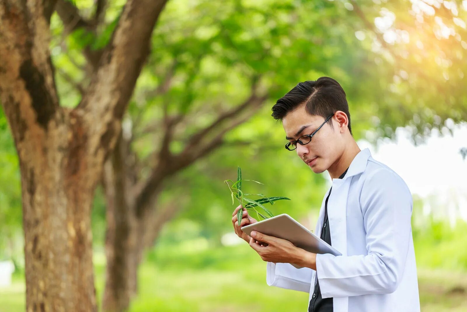 Изучение растений. Ботаник растения. Ботаник ученый. Исследование растений. Plant scientist