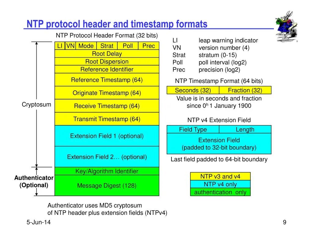 Network timing