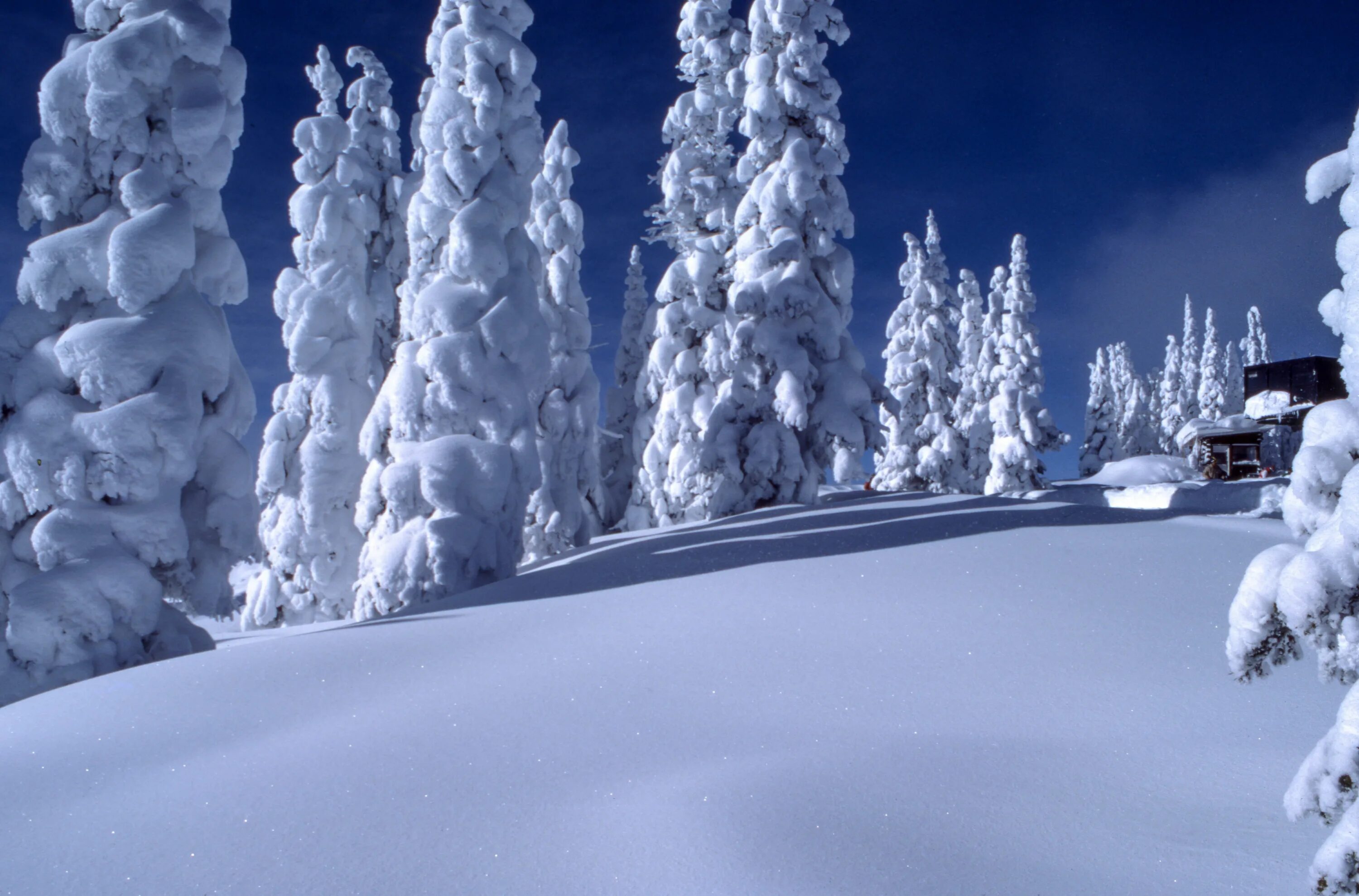 Зимняя природа. Снежная зима. Зимние сугробы. Снег сугробы. Cold and snowy