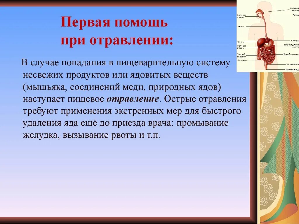 Заболевания пищеварительной системы. Отравление пищеварения. Травмы пищеварительной системы. Пищеварительное отравление первая помощь. Происхождение пищеварительной системы