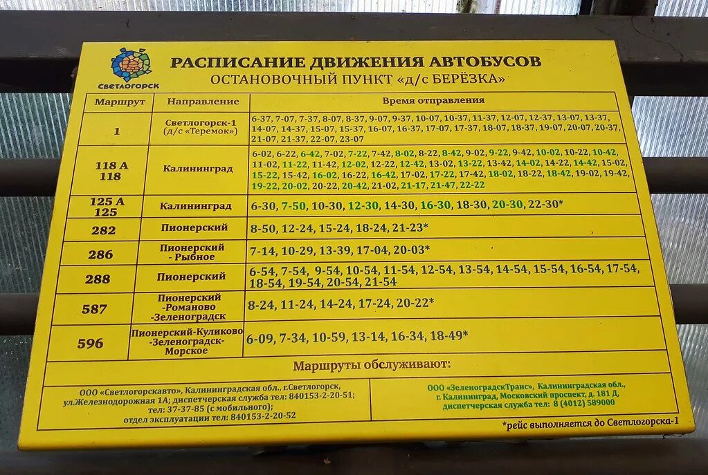 587 автобус расписание балтийск зеленоградск. Расписание автобусов Светлогорск 1. Расписание автобусов Светлогорск. Расписание автобусов Пионерский Светлогорск. Расписание автобусов Светлогорск Янтарный.