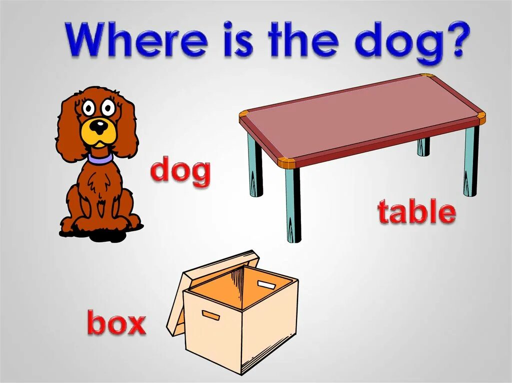 Where has the dog. Where is the Dog ответ. The Dog is the Table. Where is. Where is the Dog? The Dog is.