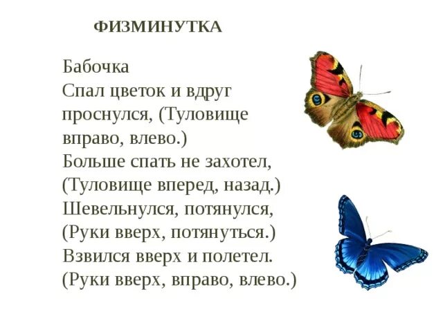 Стихотворение мотылек и цветы