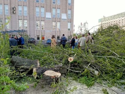 В петербурге был ураган