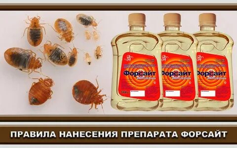 Форсайт от клопов