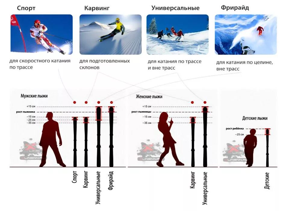 Как выбрать длину горных лыж. Горные лыжи по росту и весу таблица. Как определить размер горных лыж. Как выбрать длину горных лыж для женщин. Подобрать горные весу