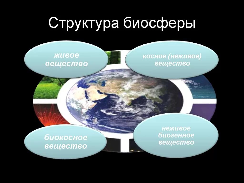 Биосфера сформировалась с появлением жизни на земле. Биосфера состав и строение. Структура биосферы живое вещество. Структура биосферы Вернадский. Строение биосферы земли.