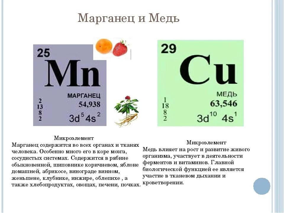 Кальций калий фосфор марганец. Калий сера железо магний фосфор. медь и марганец витамины. медь в организме человека в продуктах. марганец микроэлемент.