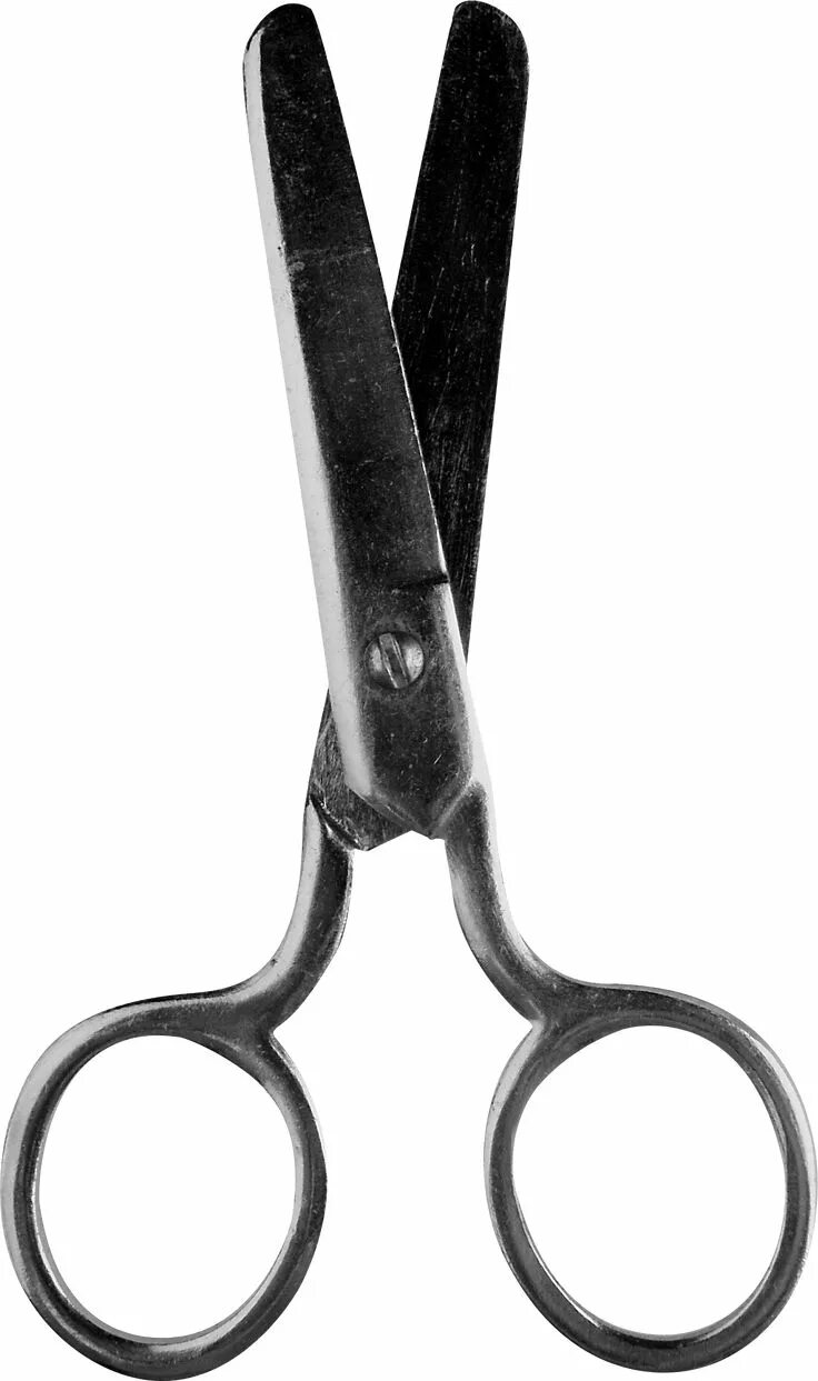 A pair of scissors