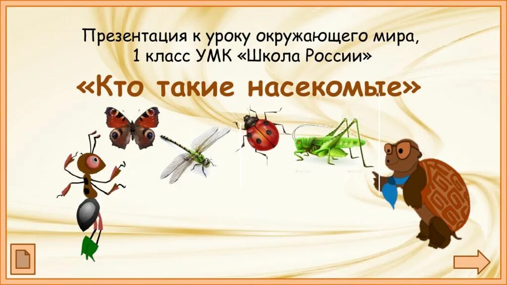 Насекомые урок 1 классе. Насекомые это 1 класс окружающий мир школа России. Презентация насекомые 1 класс окружающий мир школа России. Кто такие насекомые. Насекомые 1 класс окружающий мир.