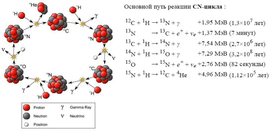 CNO-цикл ядерные реакции. Углеродно азотный цикл солнца. Углеродно-азотный цикл (CNO-цикл). CNO цикл в звездах.