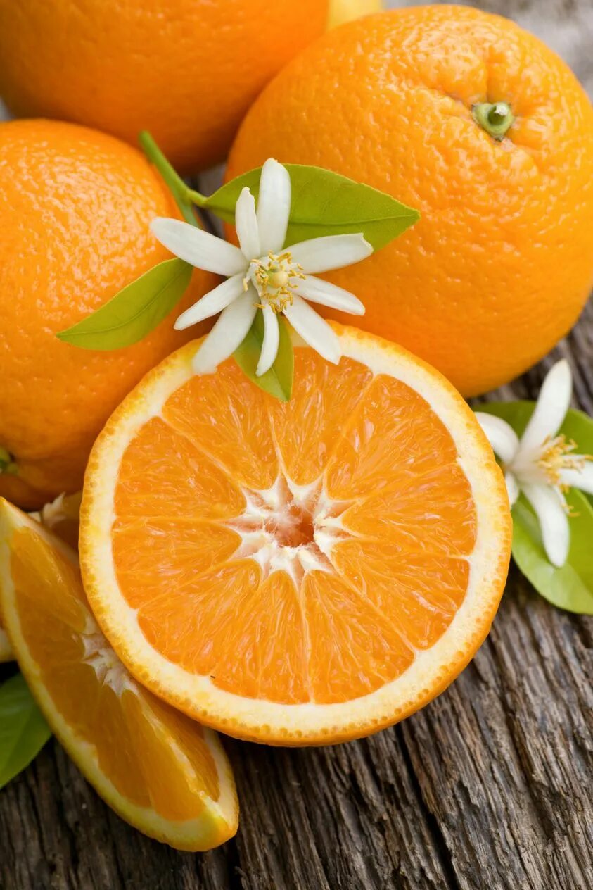 Апельсин википедия. Померанец. Померанец цитрусовые. Красивый апельсин. Апельсин картинка.