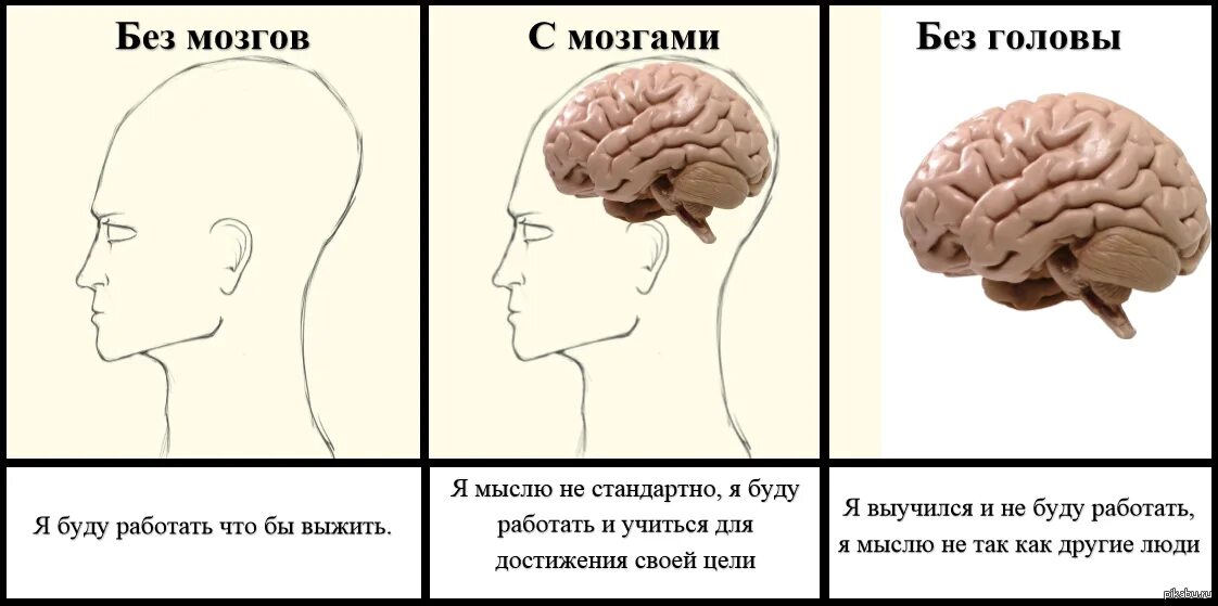 И т п быстро. Мозг думает. Мозг в голове. Проблемы с головой.