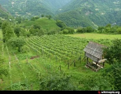 Пирвели архи грузия прямой