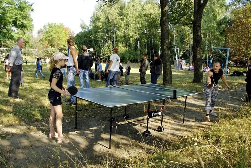Настольный теннис парк. Настольный теннис на природе. Настольный теннис в парке. Теннисный стол в парке. Теннисные столы в парках.