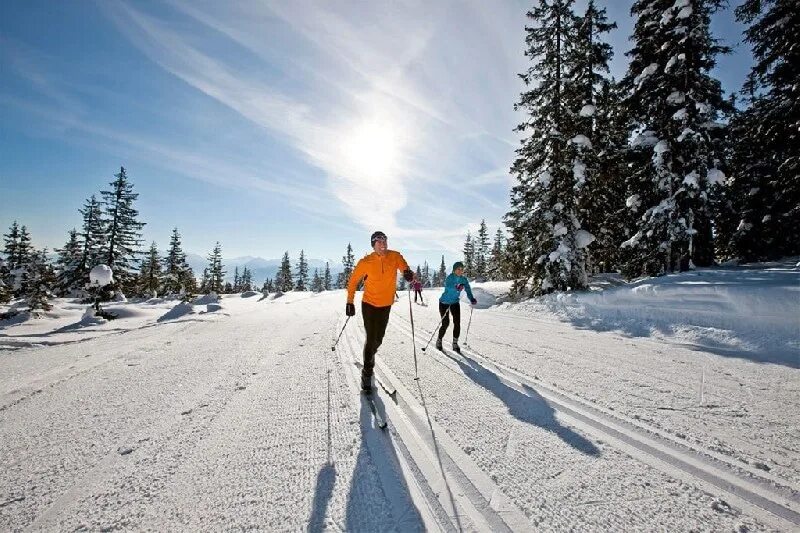 Покататься на лыжах прокат. На лыжах в лесу. Лыжная трасса. Лыжные трассы в лесу. Лыжник в лесу.