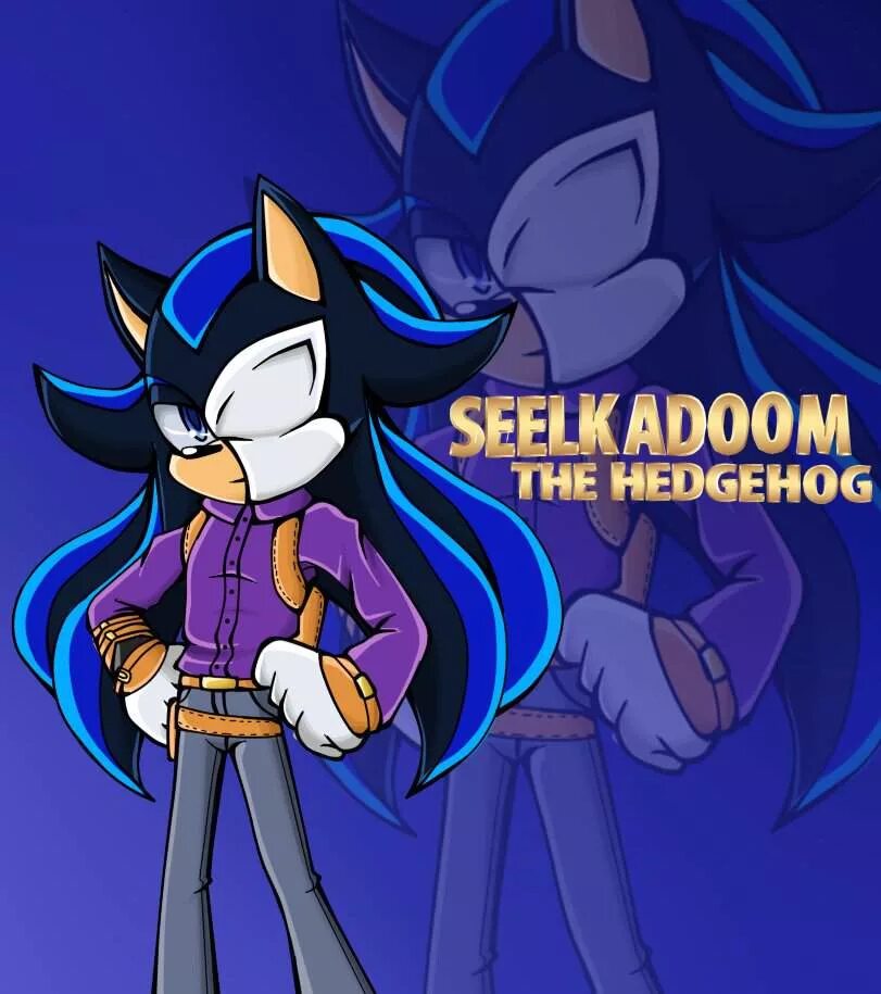 Sonic battle. Seelkadoom the hedgehog. Соник бум шедоу арт. Sonic comics том 3 битва за остров ангелов. Battle hedgehog.