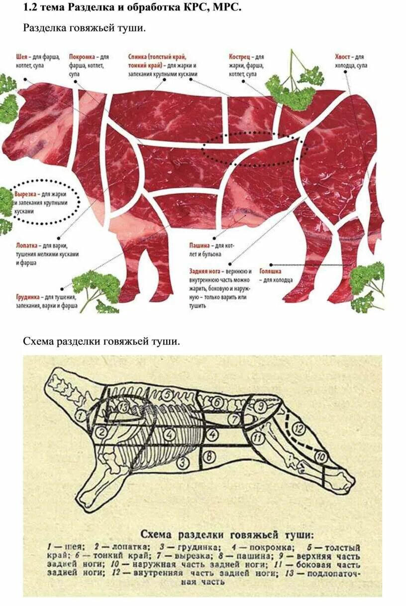 Разделка туши говядины схема. Классификация схема разруба говяжьей туши. Части туши коровы схема. Схема разделки говяжьей туши с названиями частей.