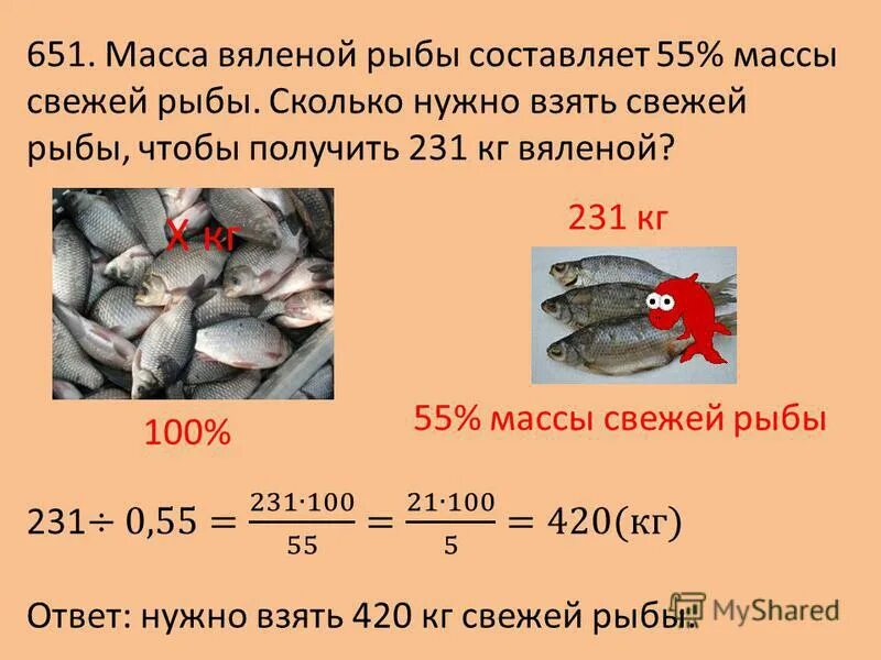 Сколько рыб на литр. Масса вяленой рыбы. Масса вяленой рыбы составляет 55%. Вес вяленой рыбы. Потеря веса при вялении рыбы.