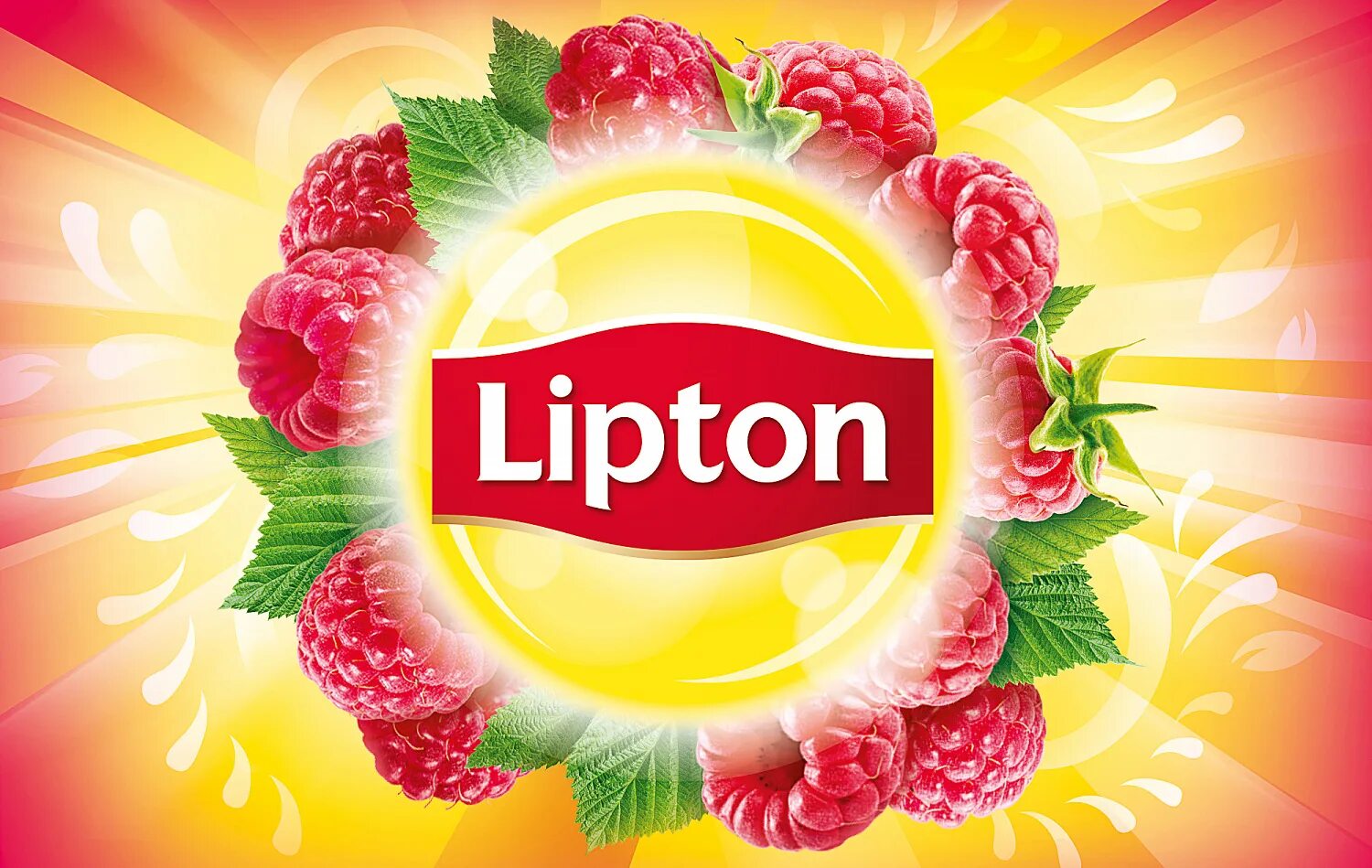 Без липтона. Логотип ЛИПТОНА. Холодный чай Липтон логотип. Чай Липтон логотип. Холодный зеленый чай Липтон этикетка.