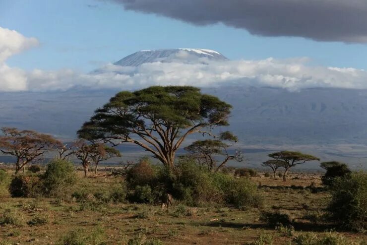 Джили килиманджаро. Фонтан килиманджаро пиротехника. Килиманджаро фонтан. Килиманджаро трехглавая гора. Гора килиманджаро 2000.