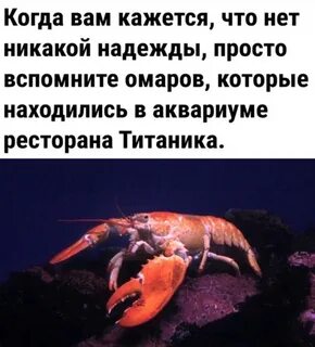Нет никаких я есть мы