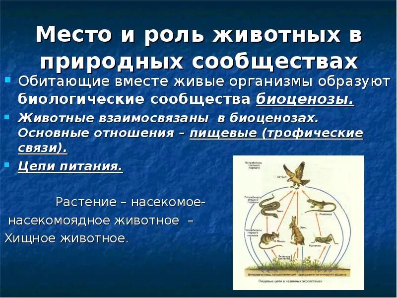 Растение выполняют в природном сообществе роль. Роль животных в природных сообществах. функции животных в природных сообществах. биологические сообщества. природные сообщества растений.