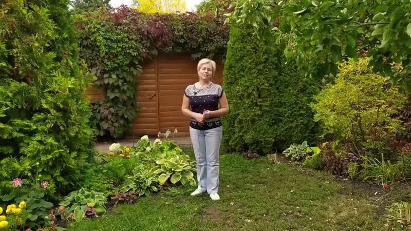 Садовый гид с ларисой зарубиной последние видео. Садовый гид с ларисой зарубиной.