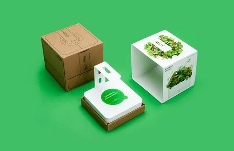 That box