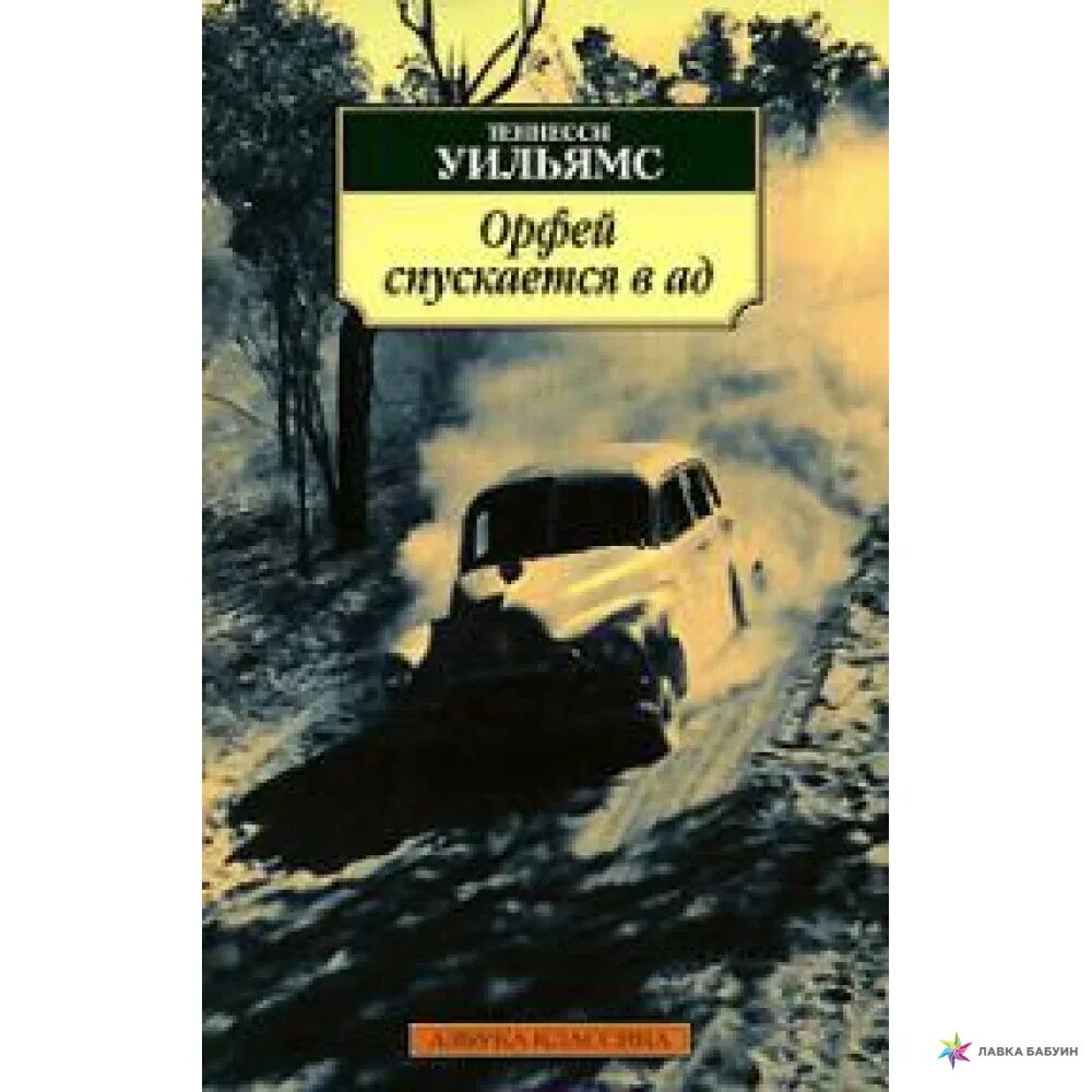 Орфей спускается в ад. Орфей спускается в ад Теннесси Уильямс книга. Уильямс Теннесси Орфей спускается в ад книга краткое содержание. Азбука классика Теннесси Уильямс. Трамвай «желание». Орфей спускается в ад Мирошниченко.