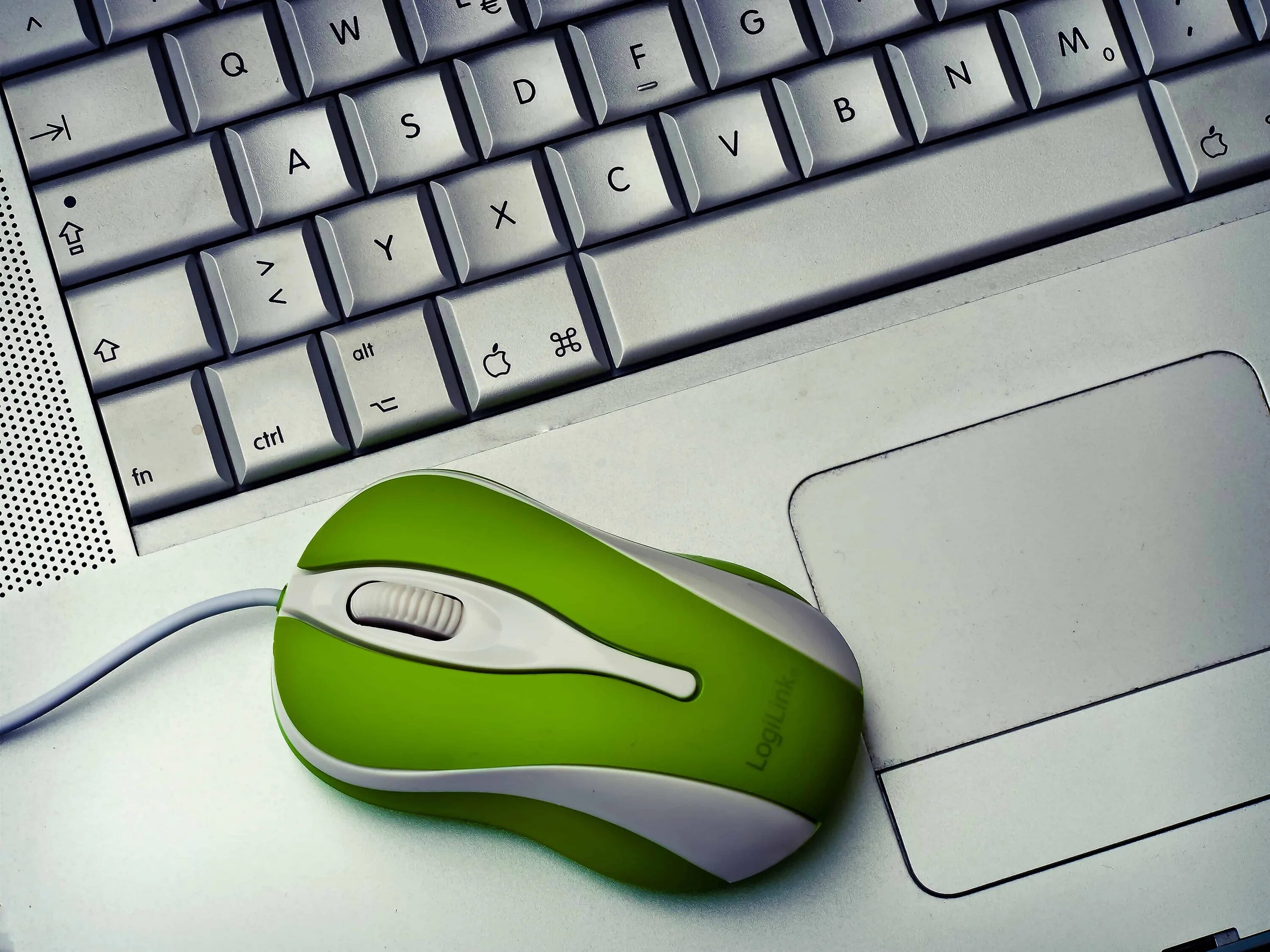 Мышь компьютерная. Компьютерная мышь и клавиатура. Компьютер мышь клавиатура. Компьютерная мышь с компьютером.