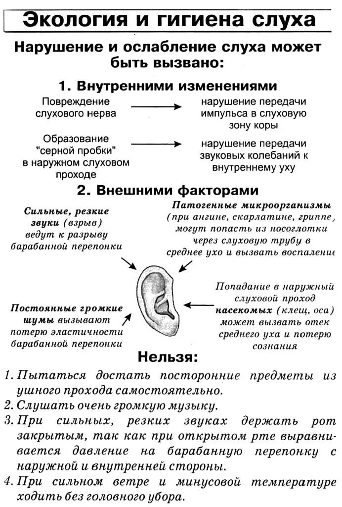 Профилактика органов слуха. Гигиена органов слуха биология 8 класс. Памятка гигиена органов слуха. Таблица гигиена органа слуха. Таблица слух гигиена слуха.