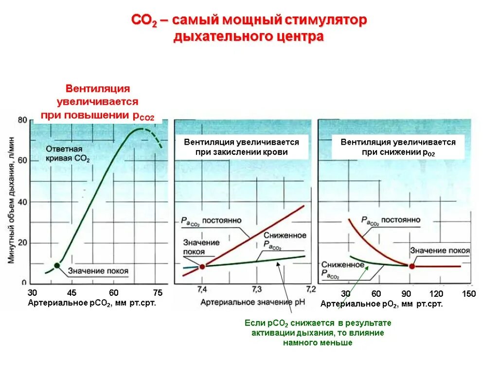 Почему изменилось дыхание. Изменения вентиляции легких при физической нагрузке.. Изменение вентиляции легких при физ нагрузке. Изменения вентиляции легких при повышенном атмосферном давлении.. Кривая вентиляции легких.