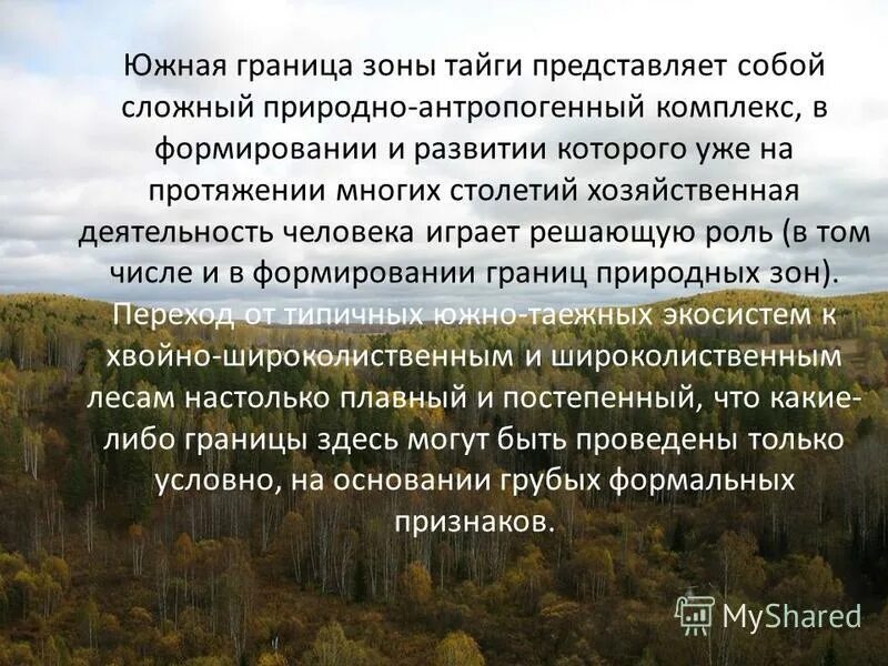 южная америка венесуэла. кемерово южный улицы.