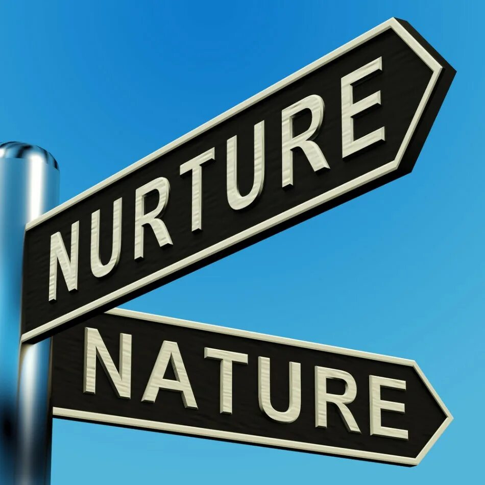 Natural v. Nurture the nature. Nature or nurture. Nature versus nurture. Nature vs nurture debate.