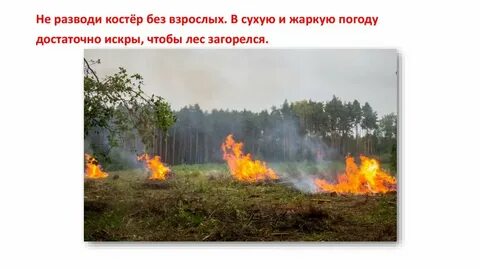 Днем в сухую погоду